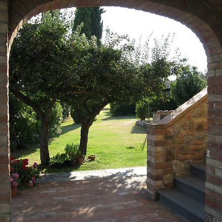Hotel Agriturismo Il Canto Della Gallina Villastrada  Exteriér fotografie