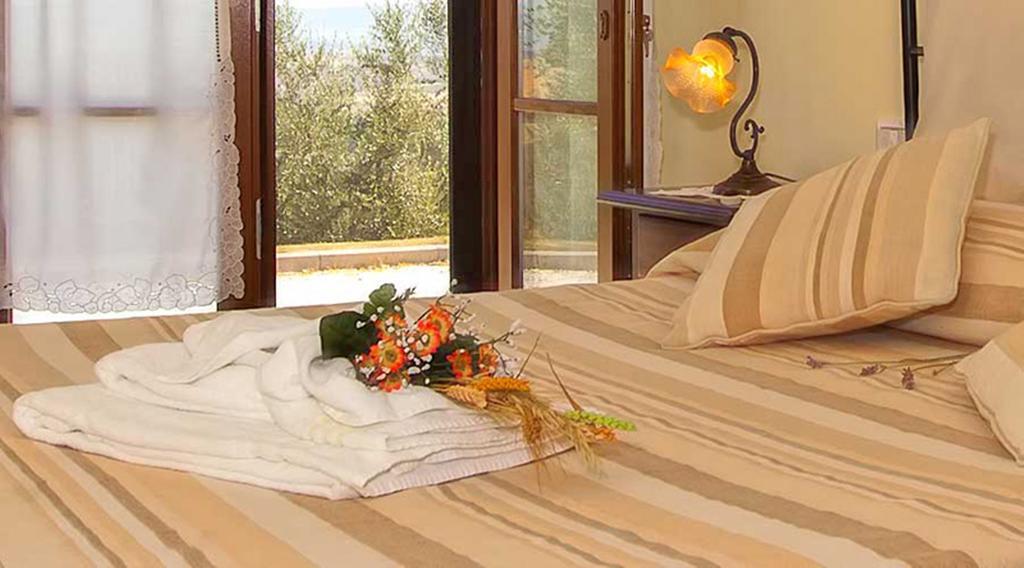 Hotel Agriturismo Il Canto Della Gallina Villastrada  Exteriér fotografie
